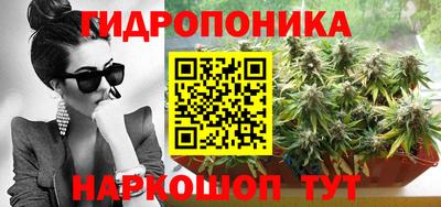СК Рязань