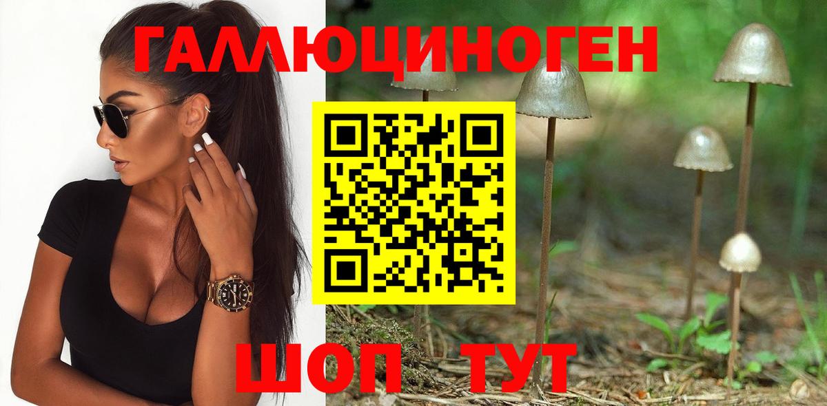 Сибай  Псилоцибиновые грибы GOLDEN TEACHER  Вход с VPN 